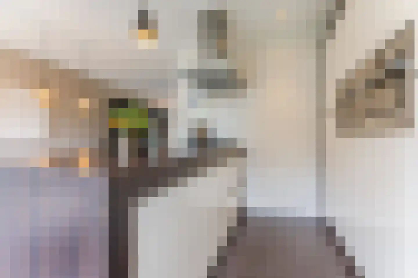 Kruidnagel 16 Gemert thumbnail 14