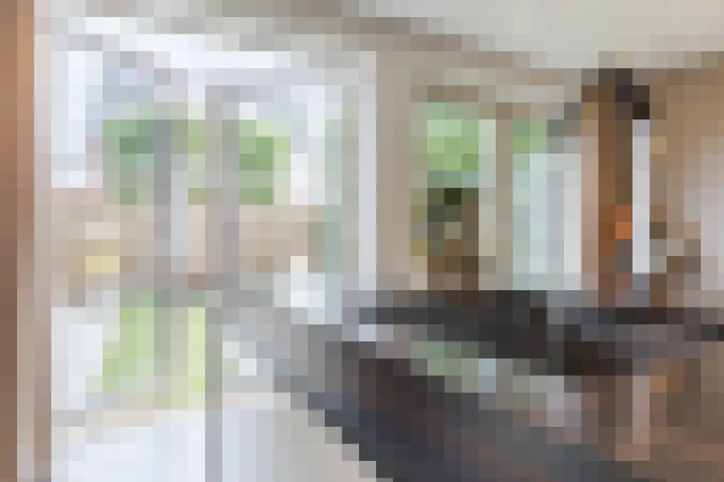 Kruidnagel 16 Gemert thumbnail 15