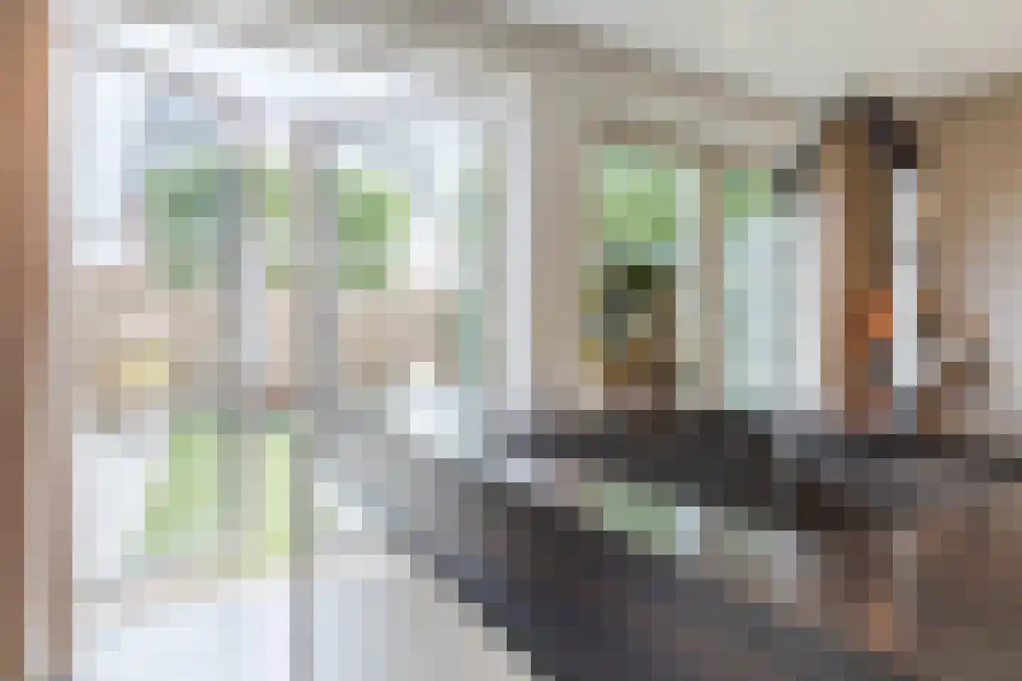 Kruidnagel 16 Gemert thumbnail 15