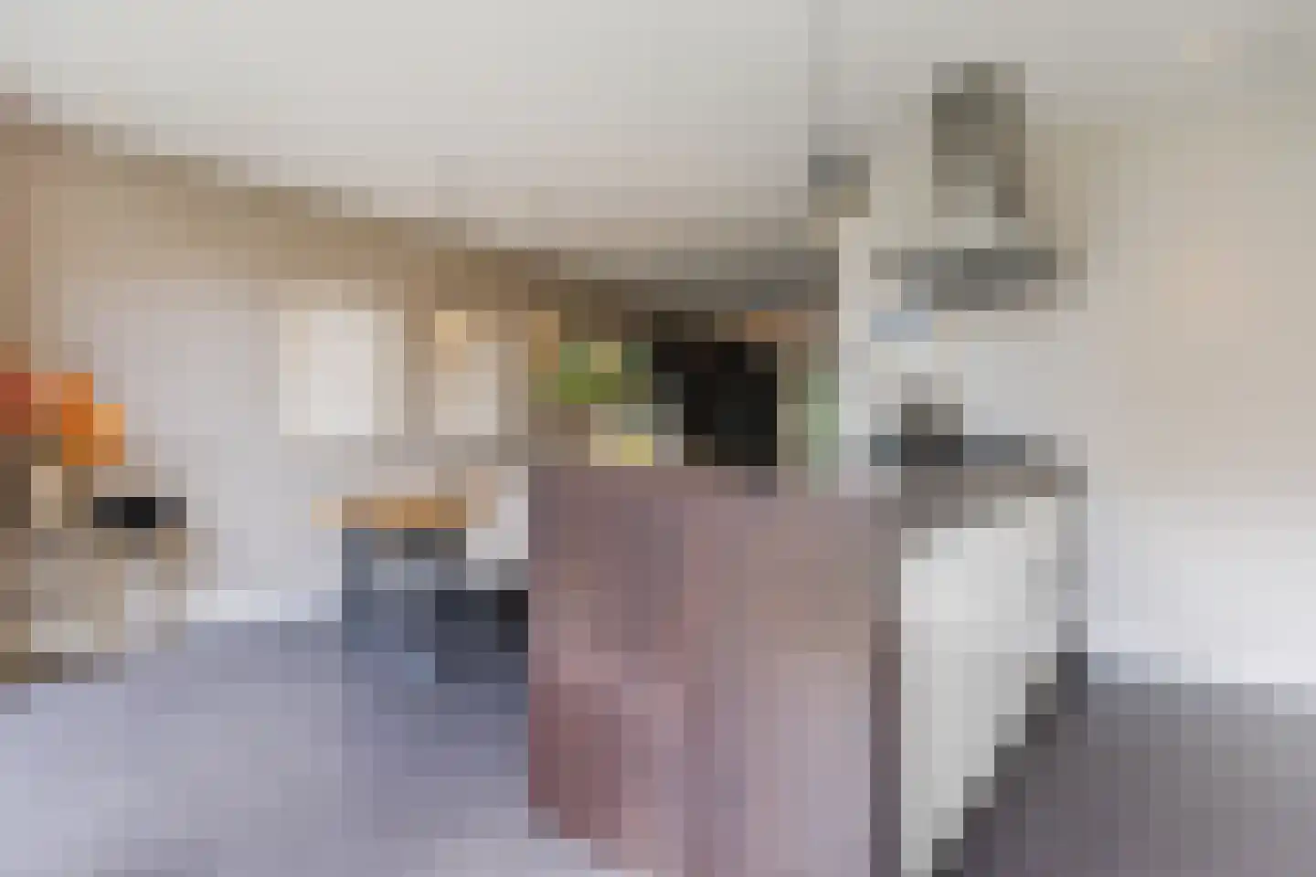 Kruidnagel 16 Gemert thumbnail 16