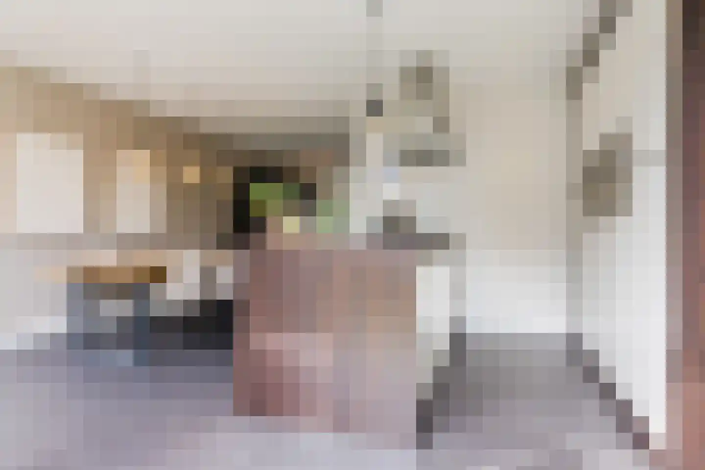 Kruidnagel 16 Gemert thumbnail 17