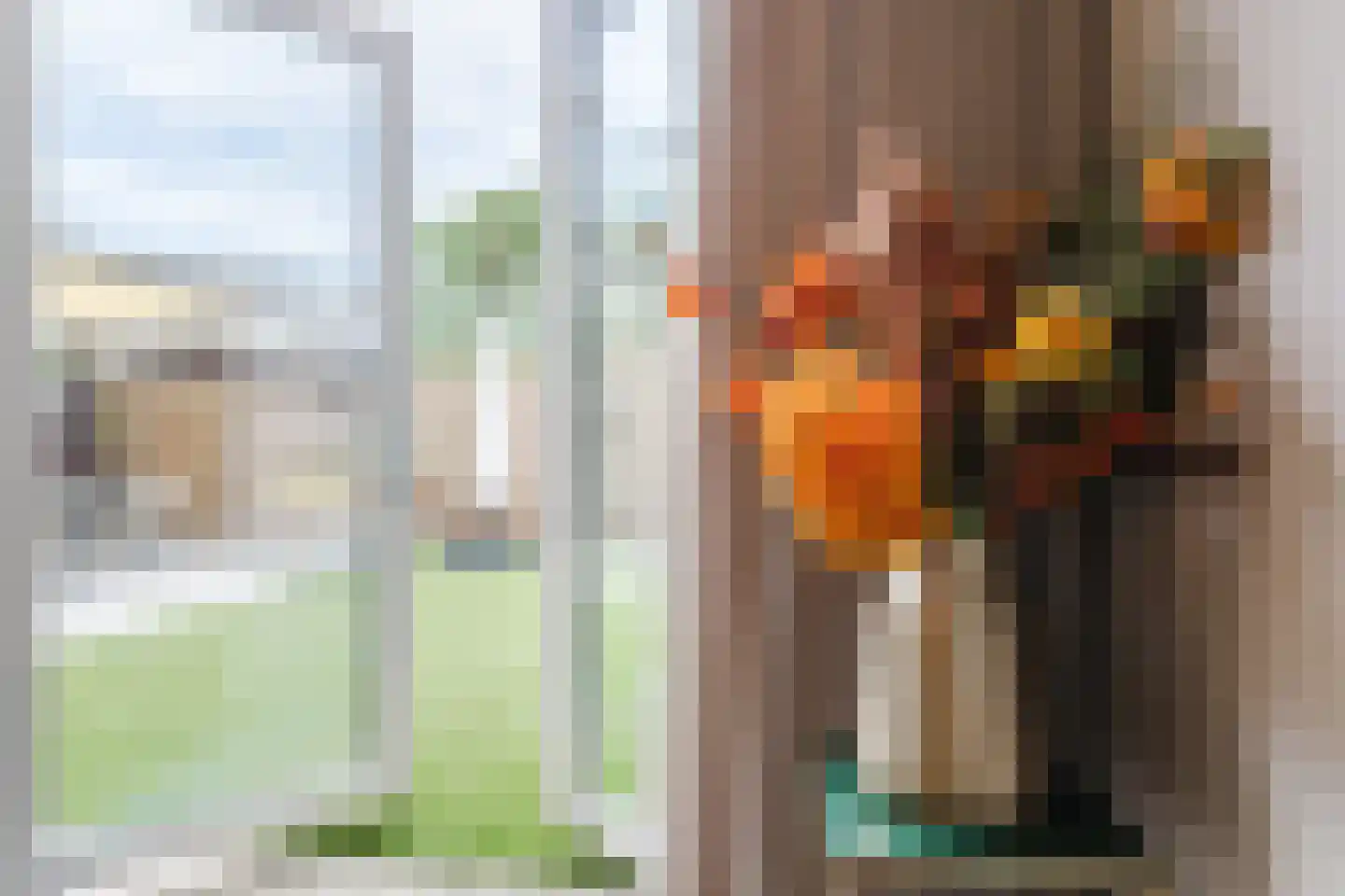 Kruidnagel 16 Gemert thumbnail 19