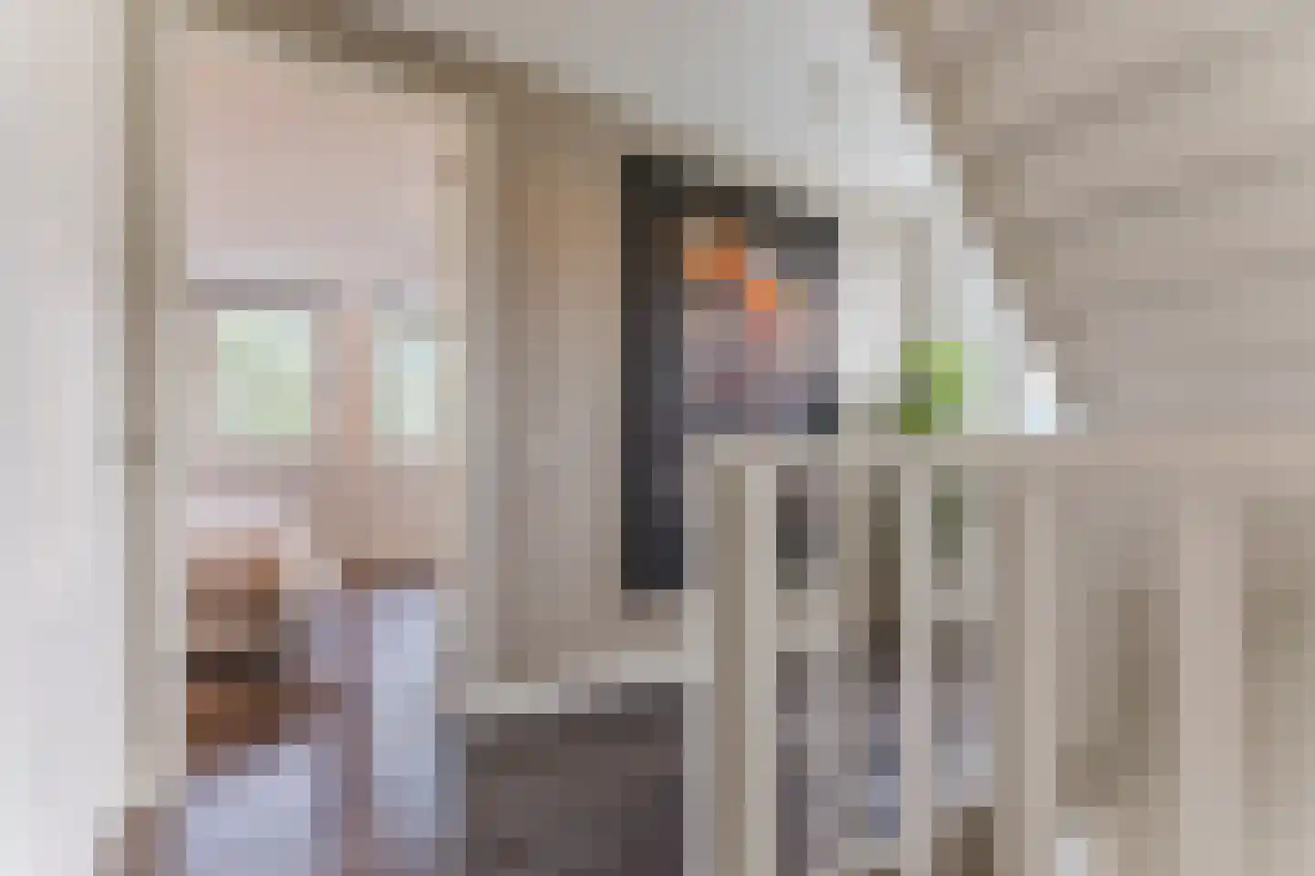 Kruidnagel 16 Gemert thumbnail 25