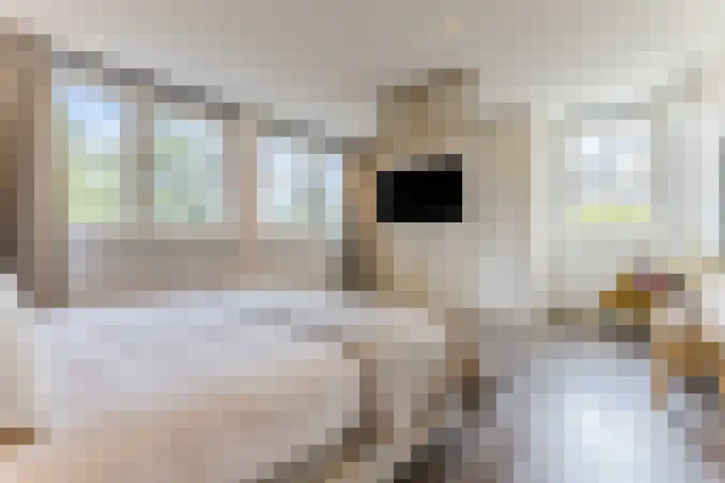 Kruidnagel 16 Gemert thumbnail 31