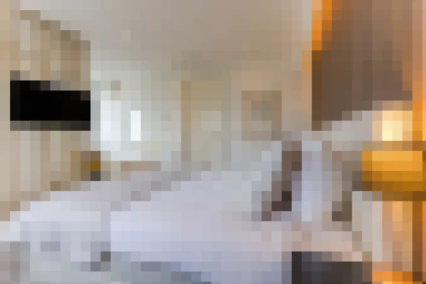 Kruidnagel 16 Gemert thumbnail 32