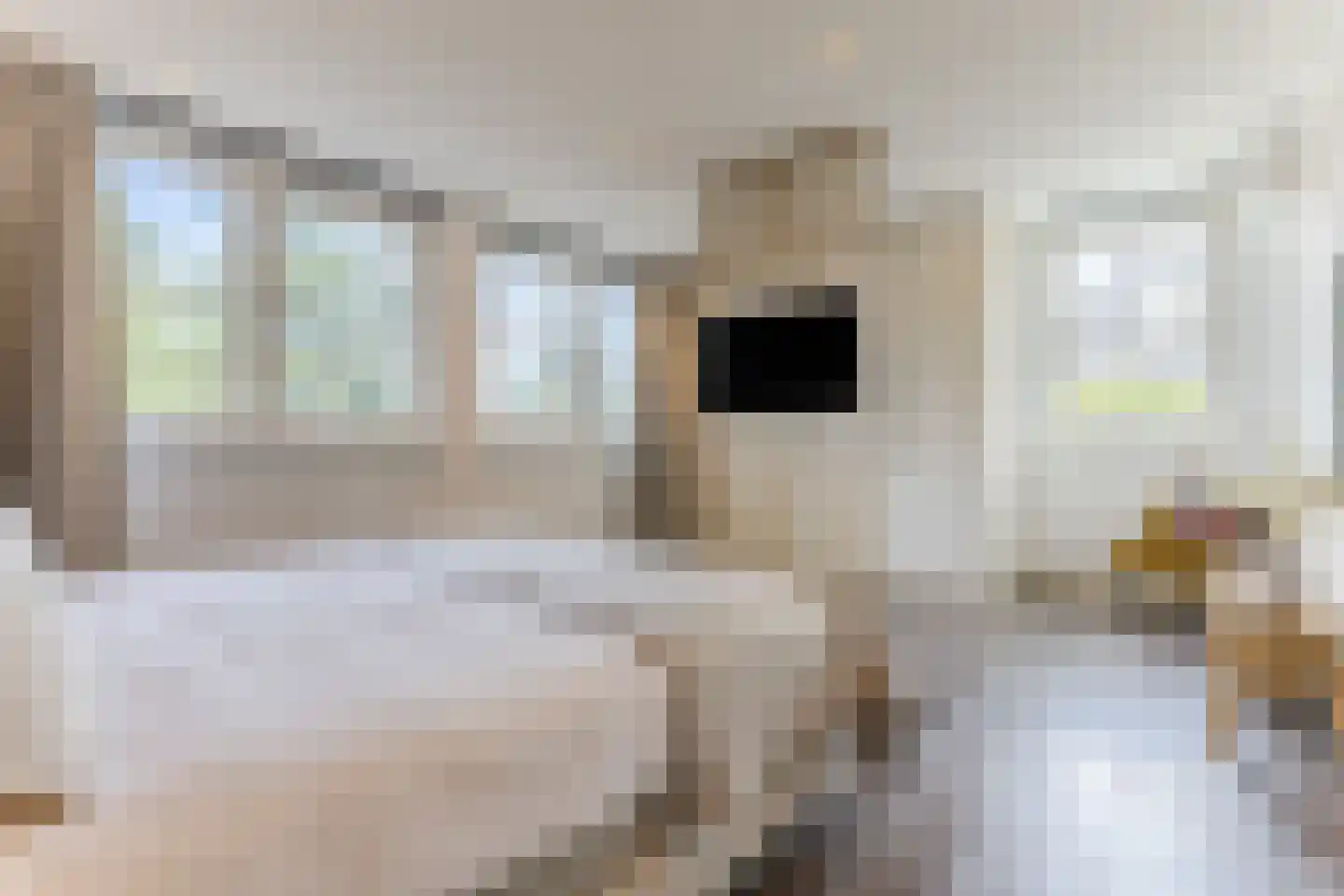 Kruidnagel 16 Gemert thumbnail 4