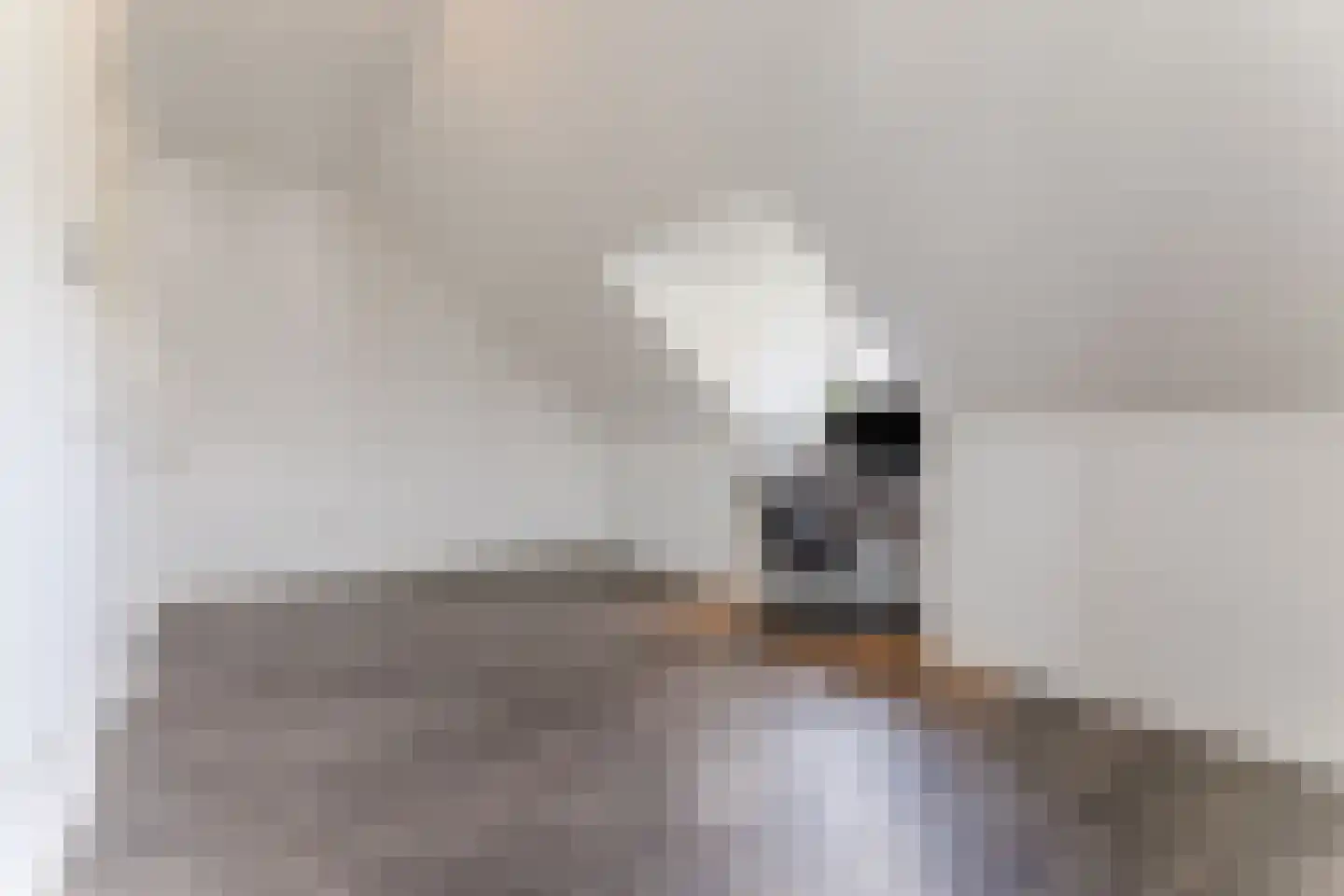 Kruidnagel 16 Gemert thumbnail 42