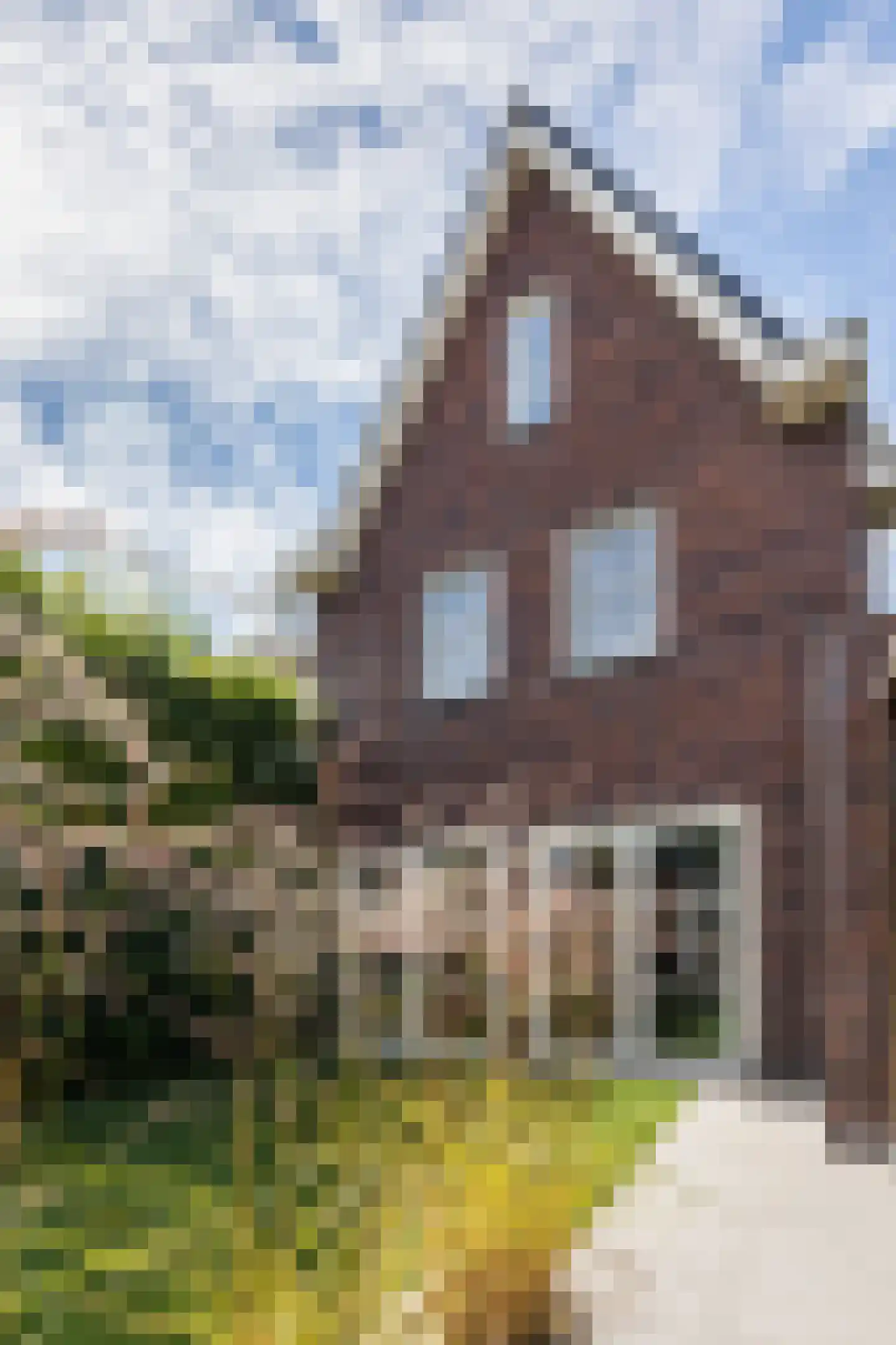 Kruidnagel 16 Gemert thumbnail 44