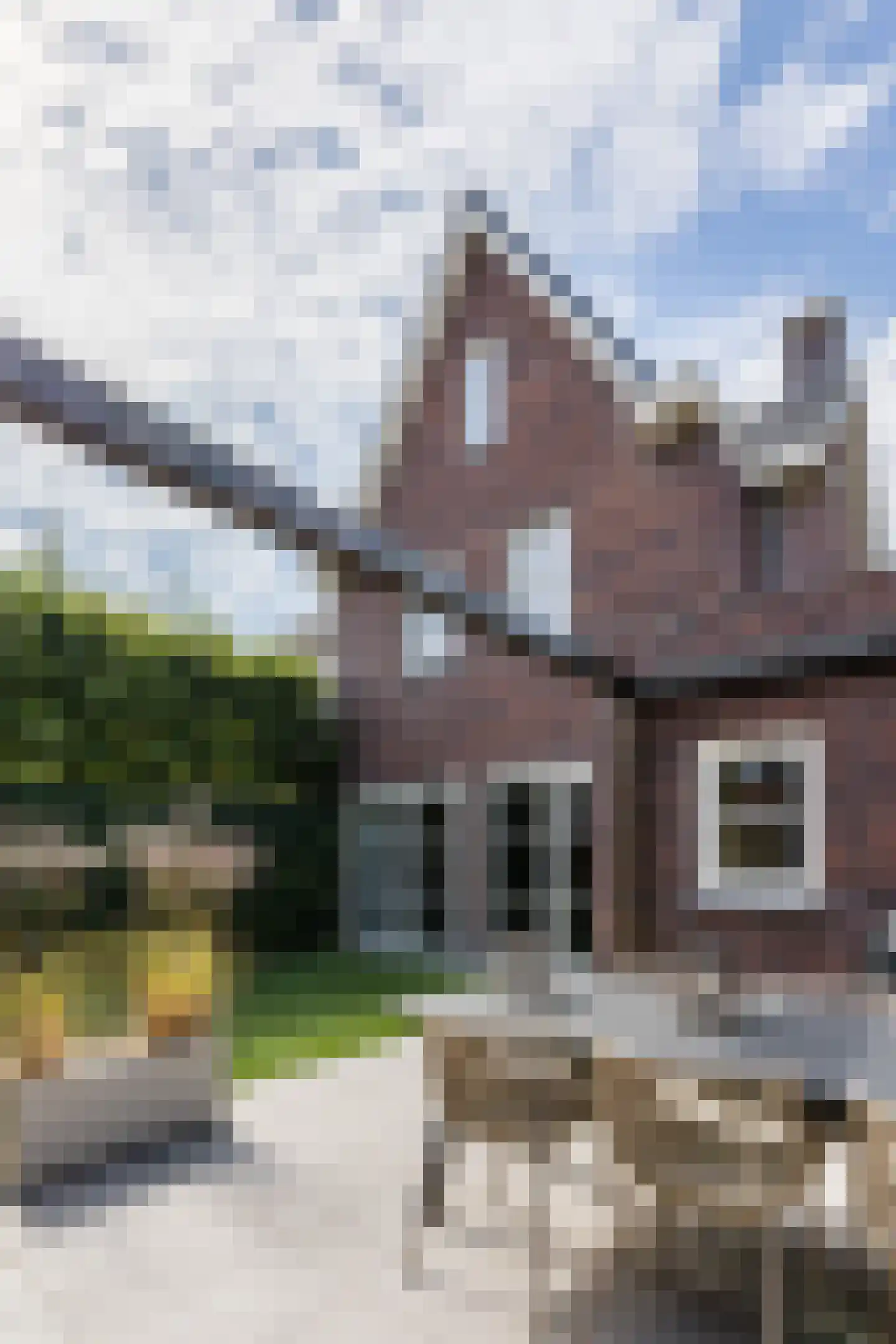 Kruidnagel 16 Gemert thumbnail 46
