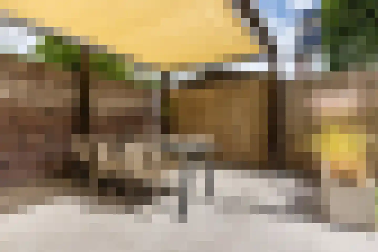 Kruidnagel 16 Gemert thumbnail 48