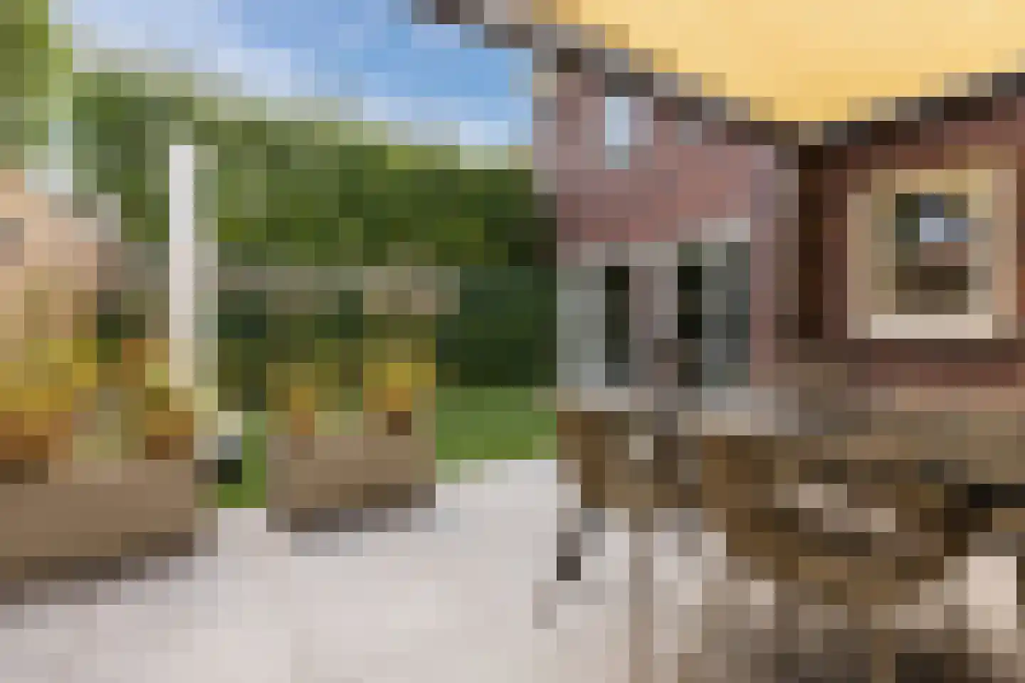 Kruidnagel 16 Gemert thumbnail 49