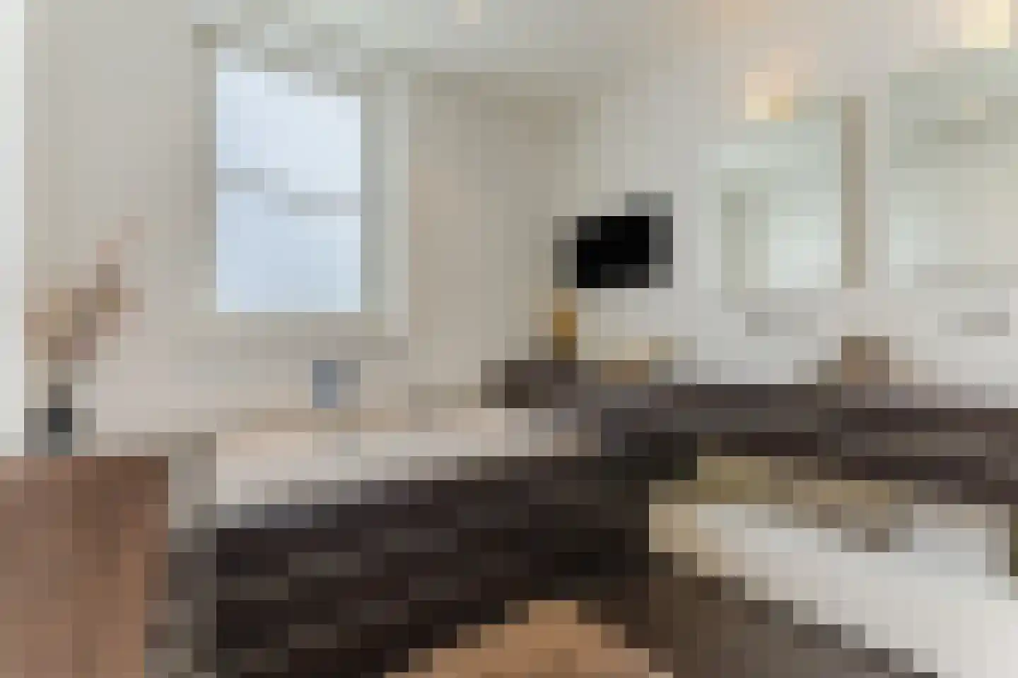 Kruidnagel 16 Gemert thumbnail 5