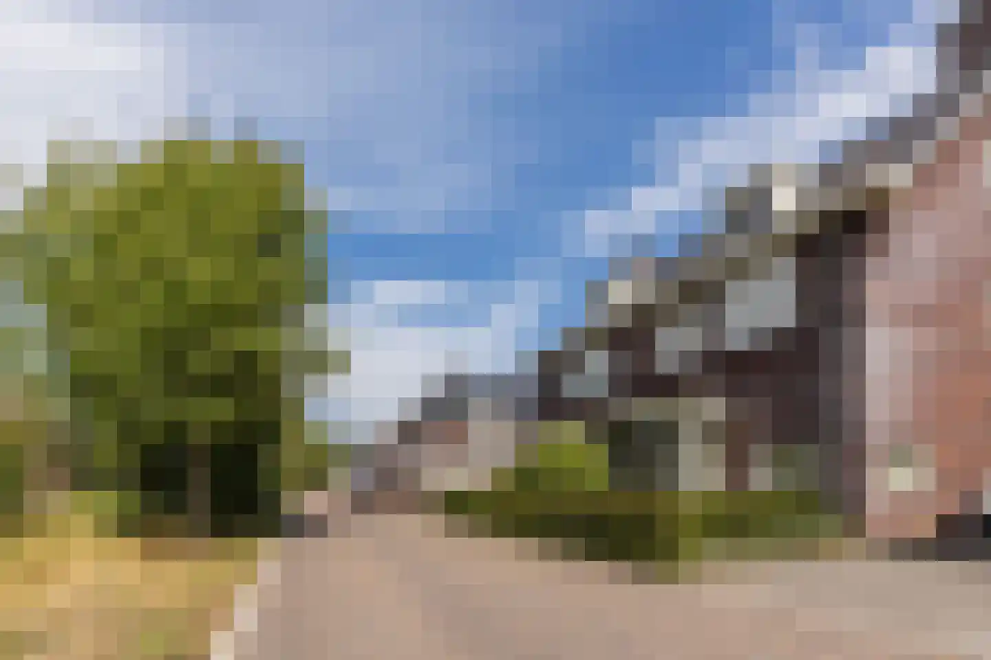 Kruidnagel 16 Gemert thumbnail 52