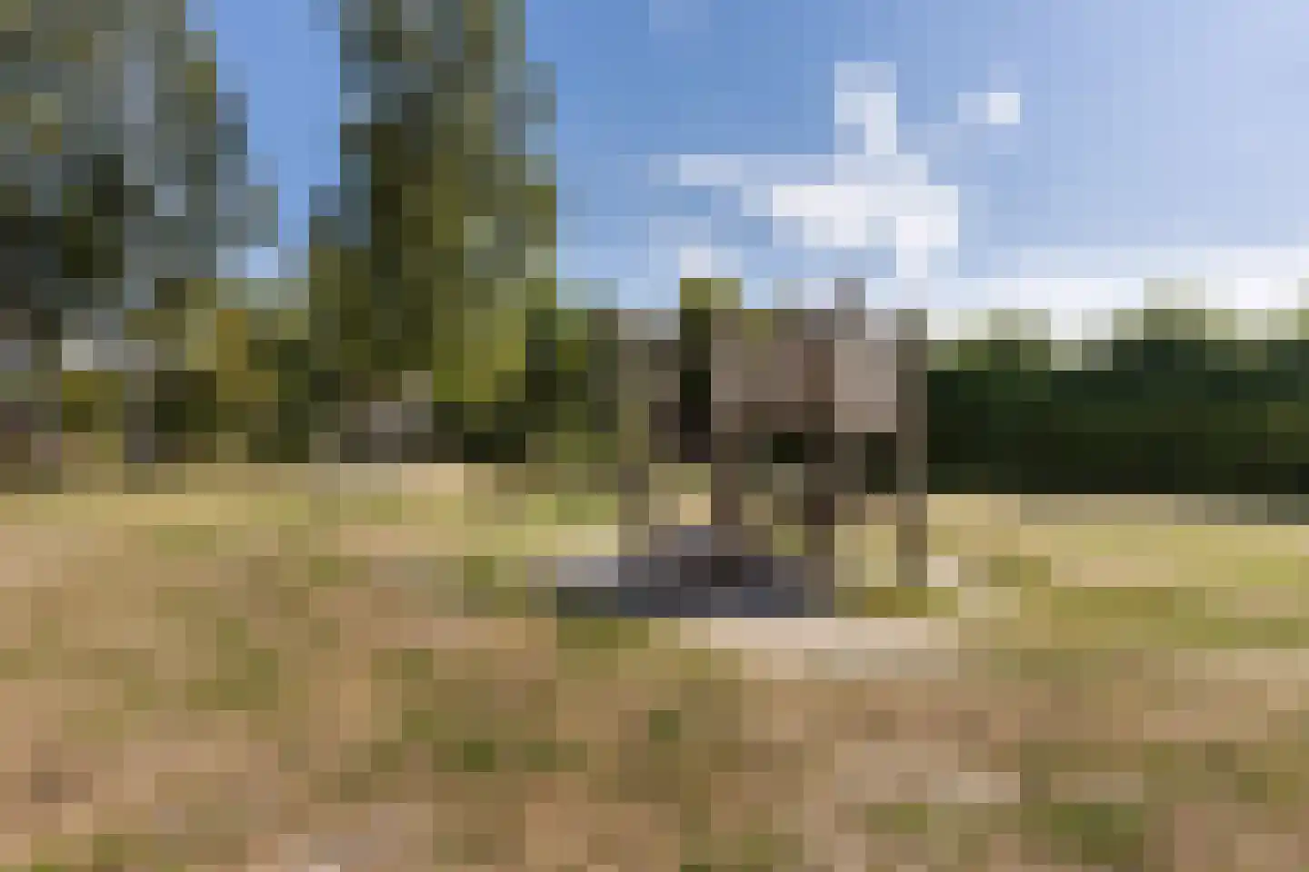 Kruidnagel 16 Gemert thumbnail 53