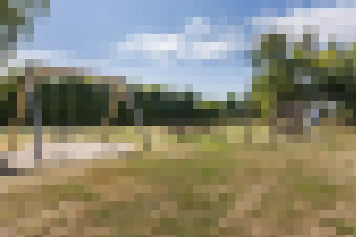 Kruidnagel 16 Gemert thumbnail 54