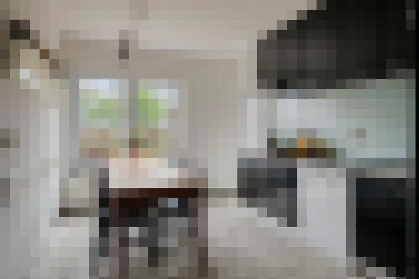 Kruidnagel 18 Den Dungen thumbnail 11