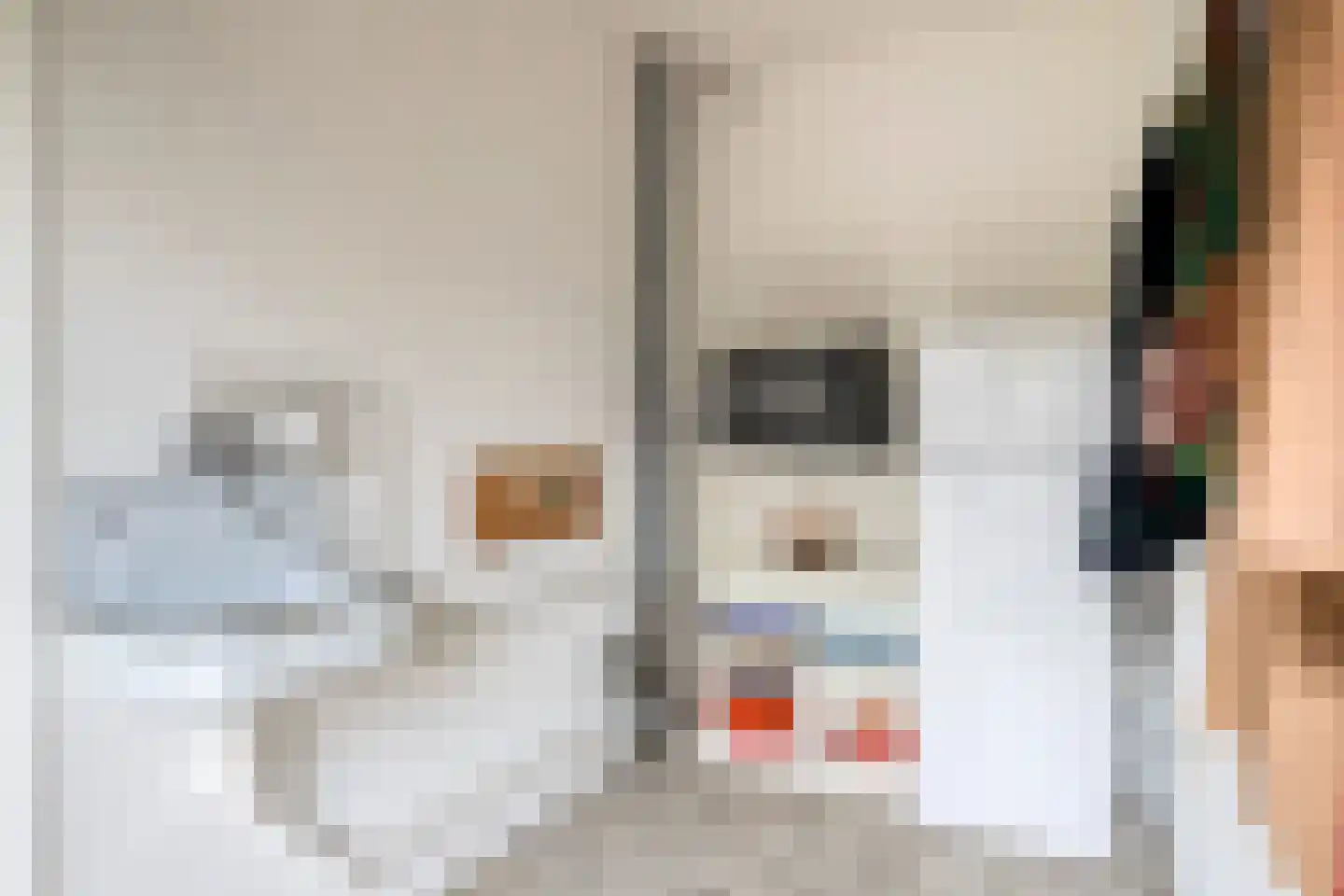 Kruidnagel 18 Den Dungen thumbnail 15