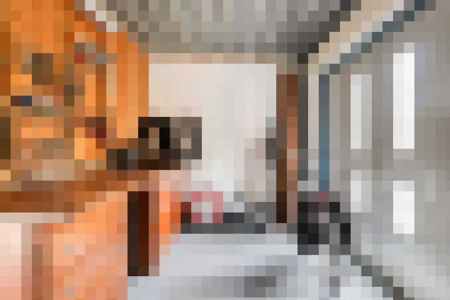 Kruidnagel 18 Den Dungen thumbnail 18