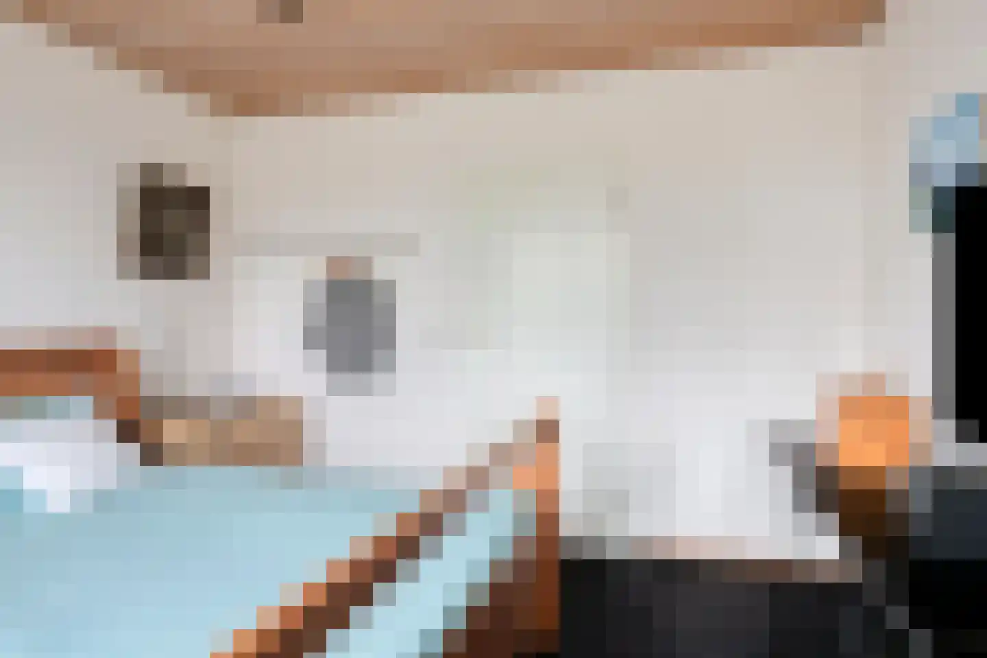 Kruidnagel 18 Den Dungen thumbnail 28