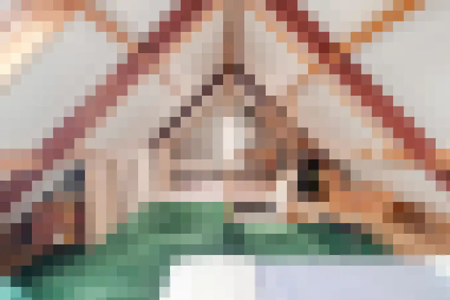Kruidnagel 18 Den Dungen thumbnail 35