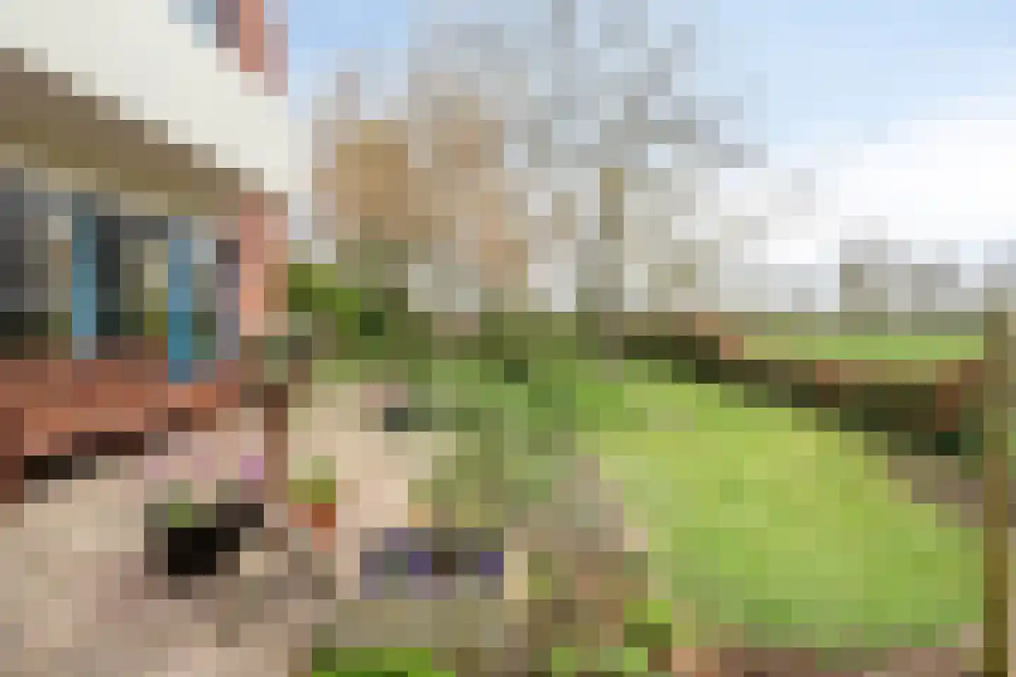 Kruidnagel 18 Den Dungen thumbnail 38
