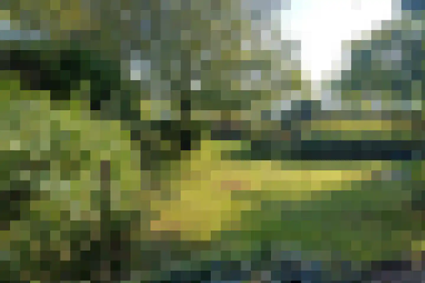 Kruidnagel 18 Den Dungen thumbnail 4