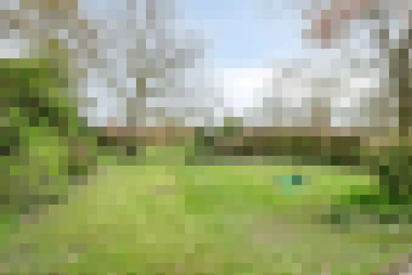 Kruidnagel 18 Den Dungen thumbnail 40