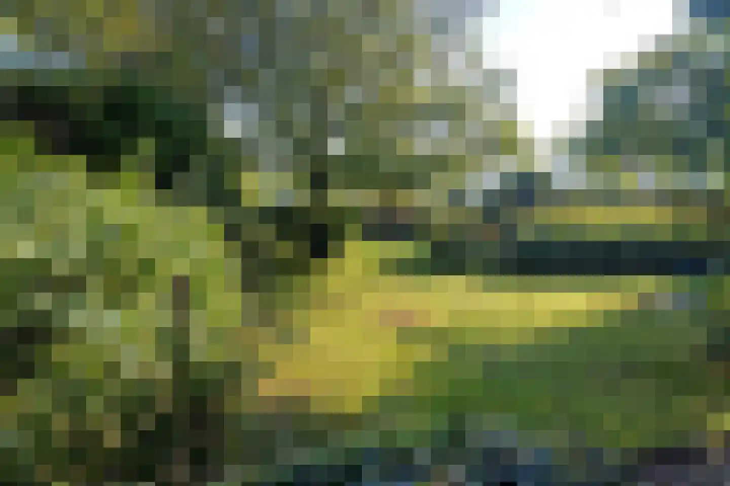 Kruidnagel 18 Den Dungen thumbnail 41