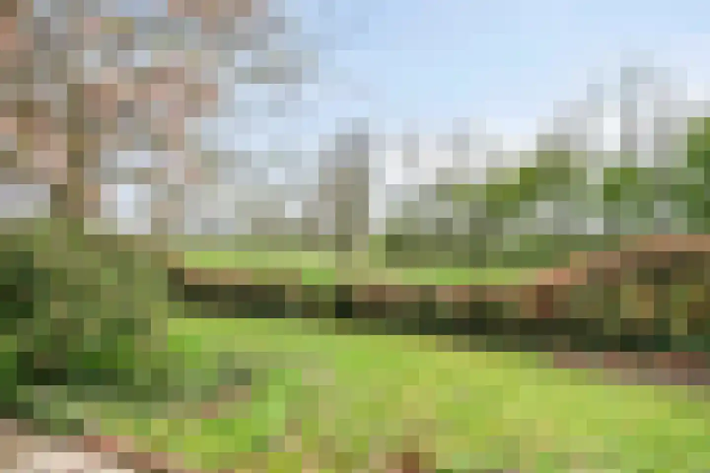 Kruidnagel 18 Den Dungen thumbnail 44