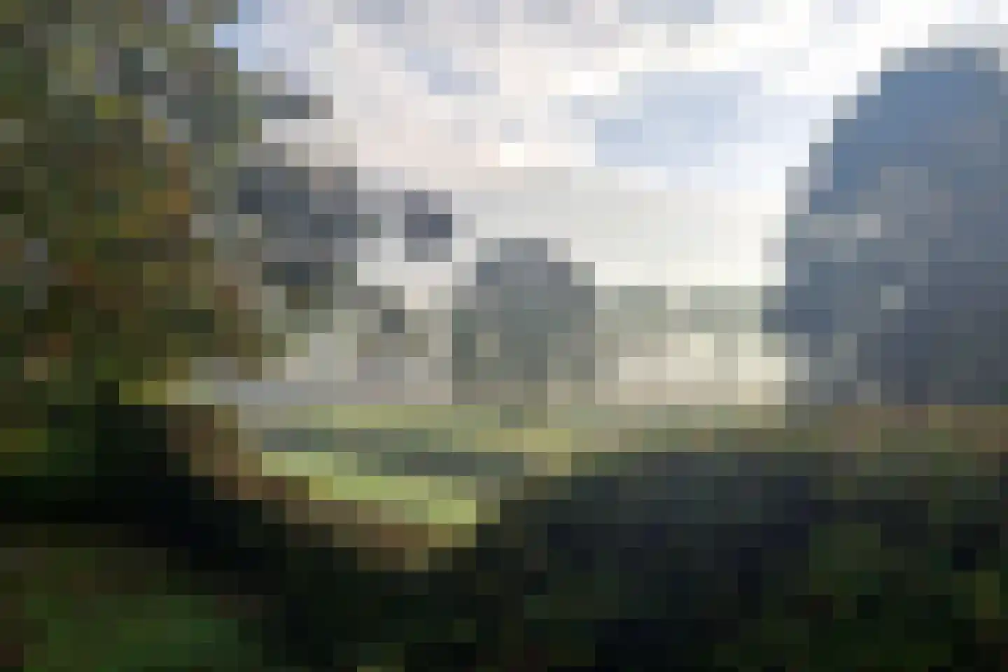 Kruidnagel 18 Den Dungen thumbnail 45