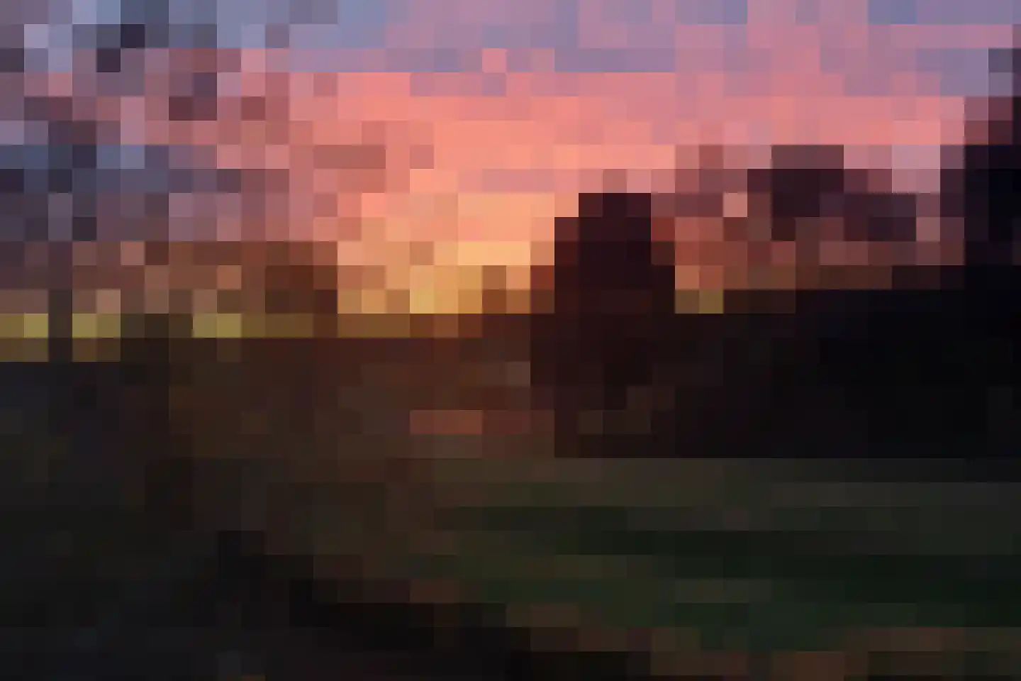 Kruidnagel 18 Den Dungen thumbnail 46