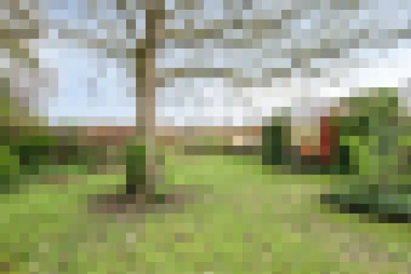 Kruidnagel 18 Den Dungen thumbnail 48