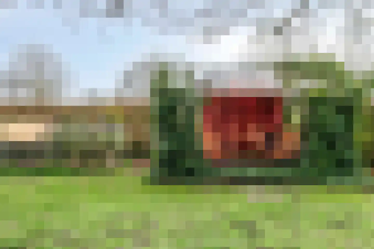 Kruidnagel 18 Den Dungen thumbnail 49