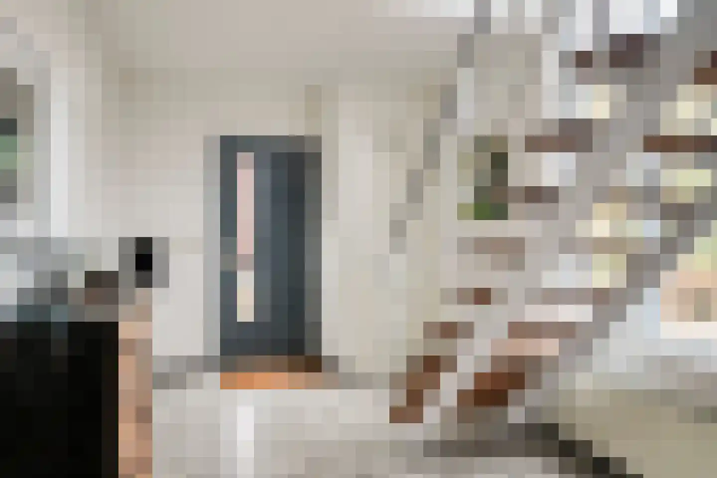 Kruidnagel 18 Den Dungen thumbnail 5