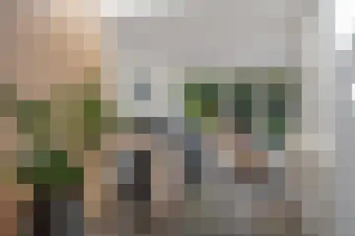 Kruidnagel 2 Den Dungen thumbnail 10