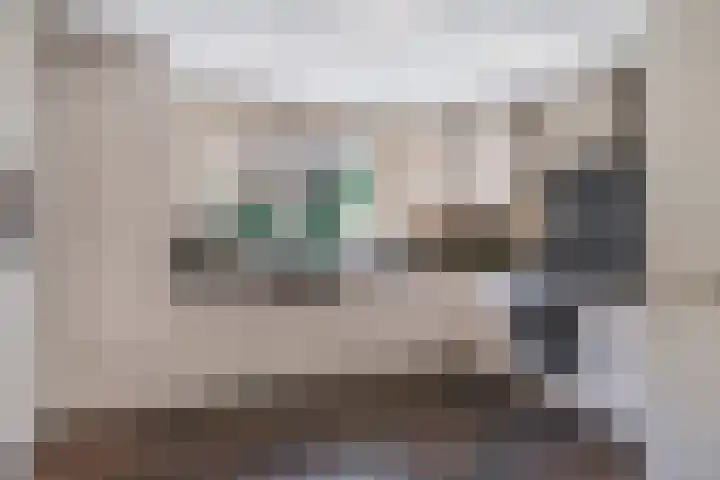 Kruidnagel 2 Den Dungen thumbnail 12