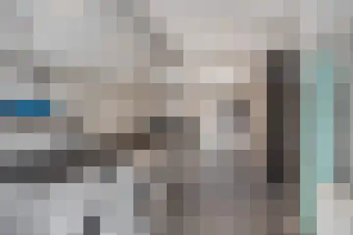 Kruidnagel 2 Den Dungen thumbnail 13