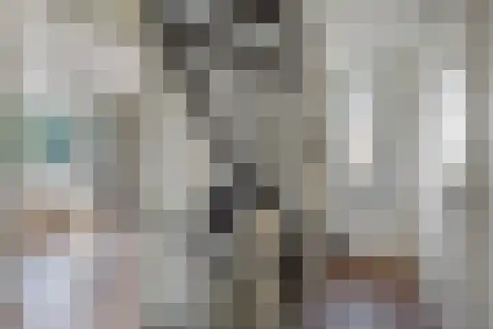 Kruidnagel 2 Den Dungen thumbnail 14