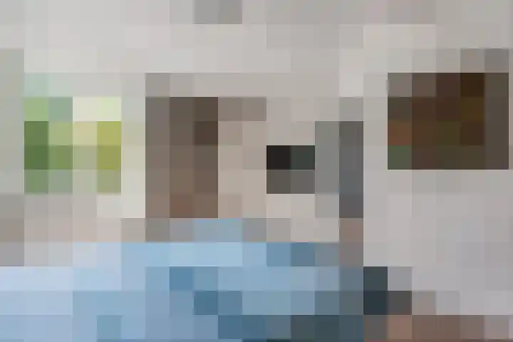 Kruidnagel 2 Den Dungen thumbnail 15