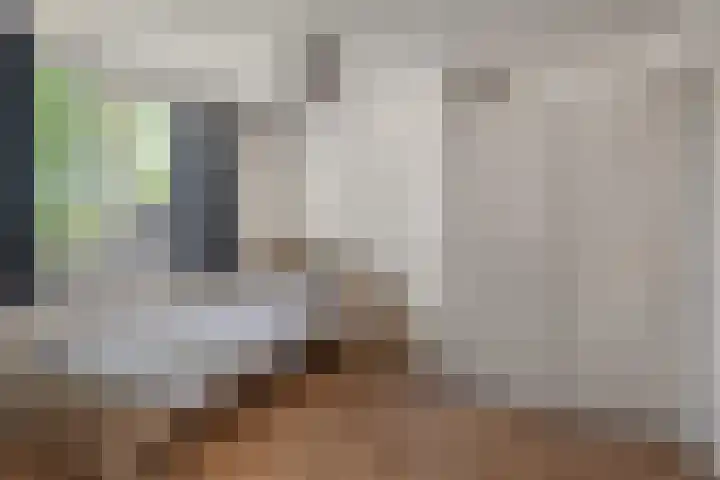 Kruidnagel 2 Den Dungen thumbnail 18