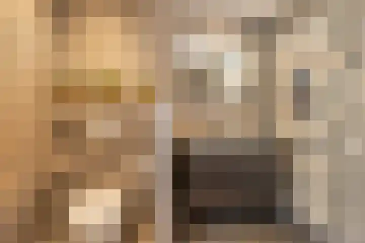 Kruidnagel 2 Den Dungen thumbnail 19