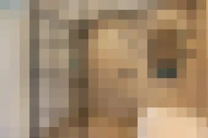 Kruidnagel 2 Den Dungen thumbnail 20