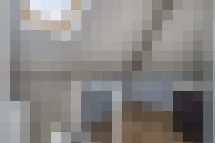 Kruidnagel 2 Den Dungen thumbnail 21