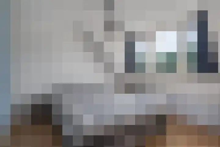 Kruidnagel 2 Den Dungen thumbnail 23