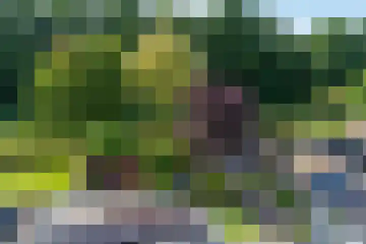 Kruidnagel 2 Den Dungen thumbnail 25