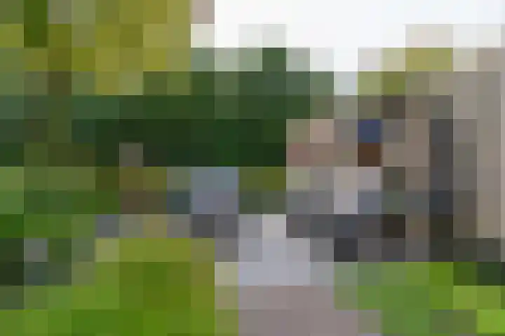 Kruidnagel 2 Den Dungen thumbnail 27