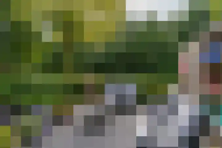 Kruidnagel 2 Den Dungen thumbnail 31