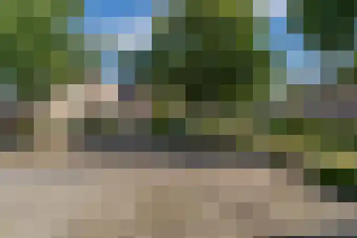 Kruidnagel 2 Den Dungen thumbnail 35