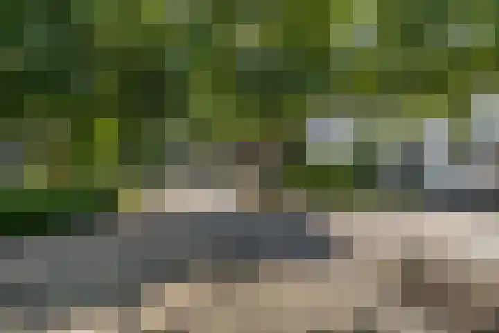 Kruidnagel 2 Den Dungen thumbnail 36