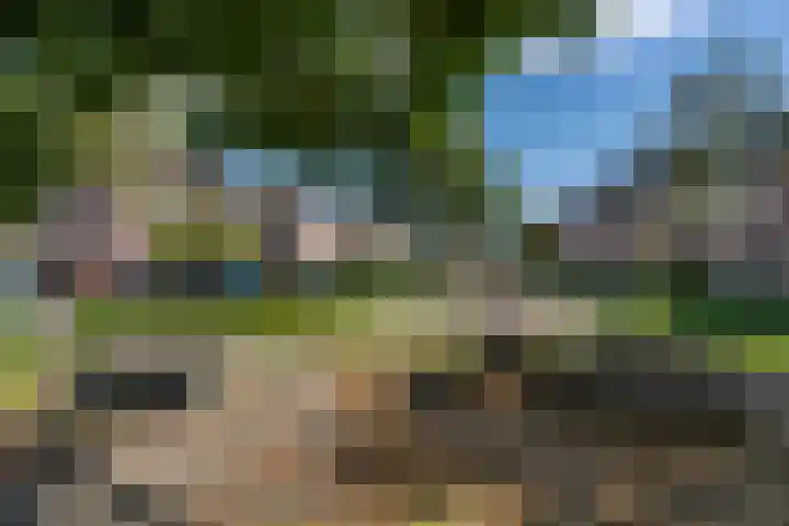 Kruidnagel 2 Den Dungen thumbnail 37